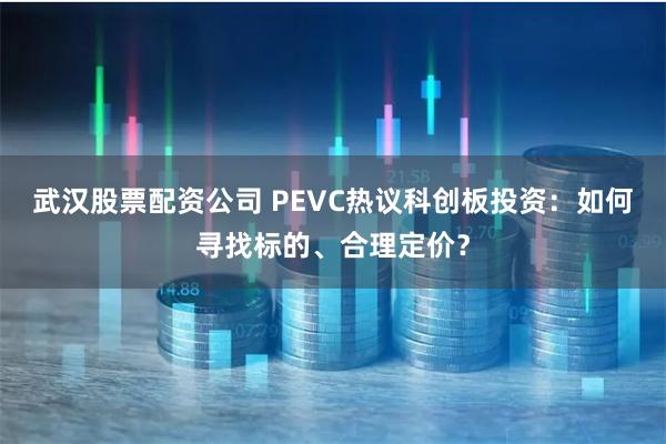 武汉股票配资公司 PEVC热议科创板投资：如何寻找标的、合理定价？