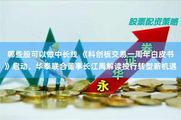 哪些股可以做中长线 《科创板交易一周年白皮书》启动，华泰