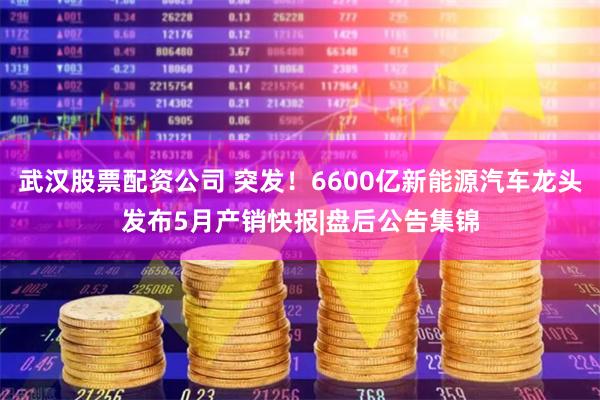 武汉股票配资公司 突发！6600亿新能源汽车龙头发布5月