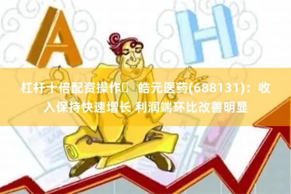 杠杆十倍配资操作	 皓元医药(688131)：收入保持快速增长 利润端环比改善明显